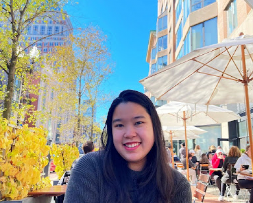 Đặng Kim Ngân ISHCMC